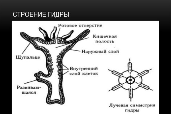 Kraken сайт kraken clear com