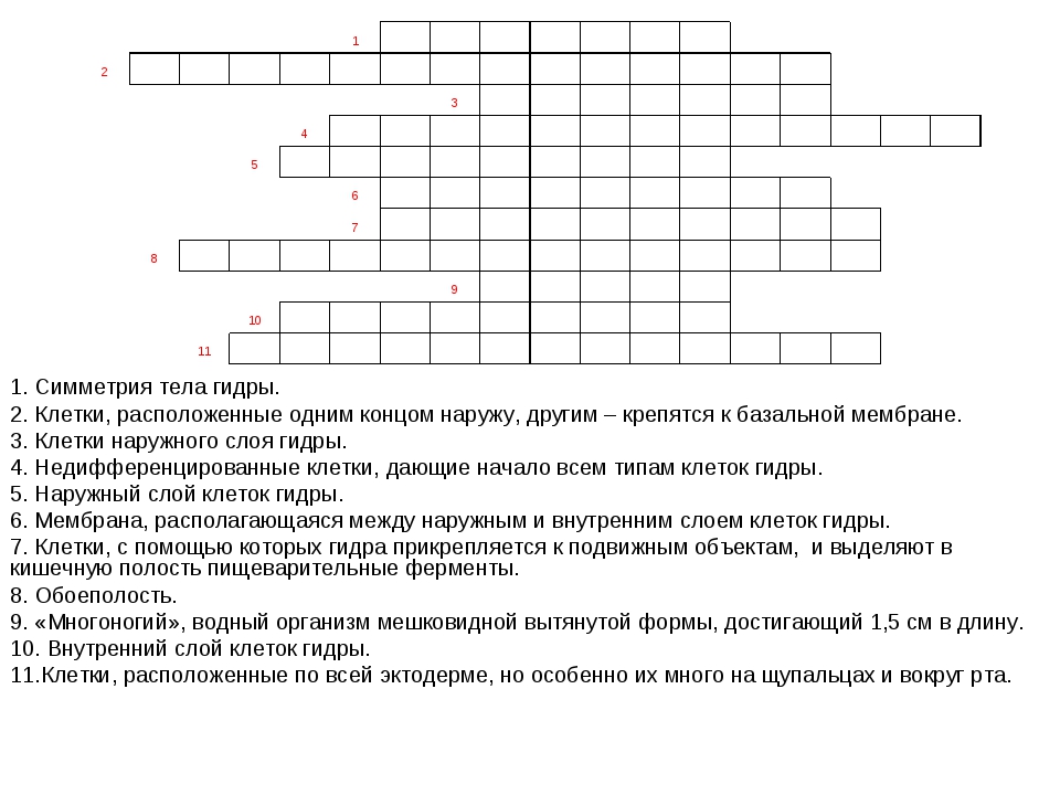 Гидра и кракен